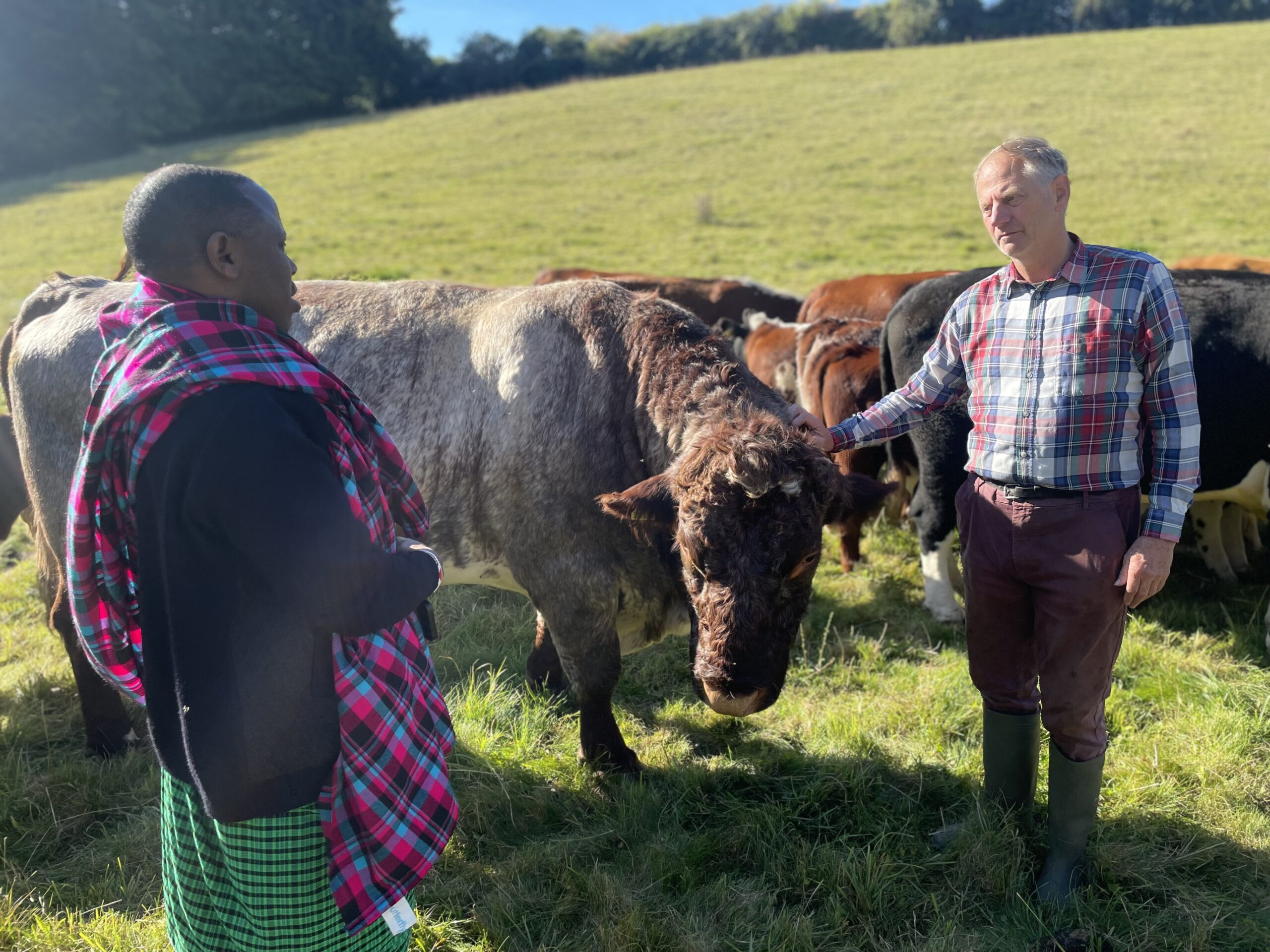 Sam visits organic farmer James, and meets his herd of native breed Hereford cows and Shorthorn bull at Path Hill Farm.