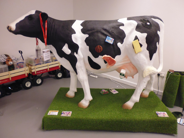 A lifesize model cow. It features lots of different attachments that explore where our food comes from.