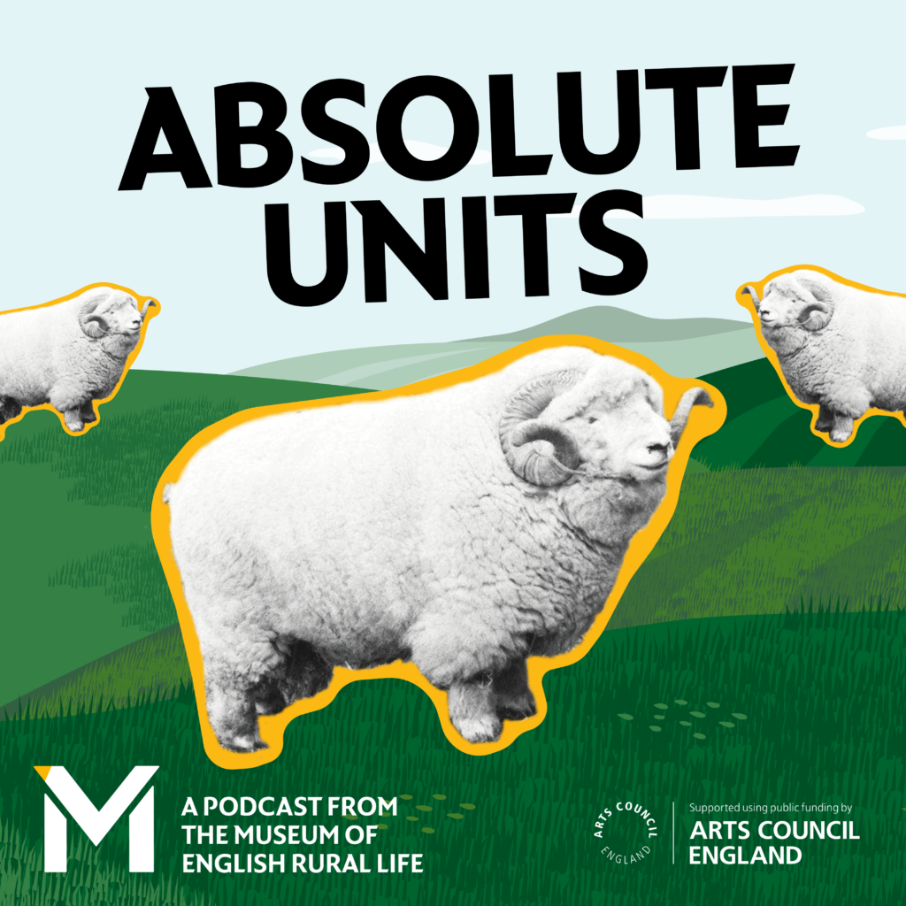 Three large sheep (the absolute unit sheep) hover above an illustrated scene of the English countryside: rolling hills beneath a pastel blue sky. There are also the logomarks of The Museum of English Rural Life and Arts Council England, whose funding made the podcast possible.