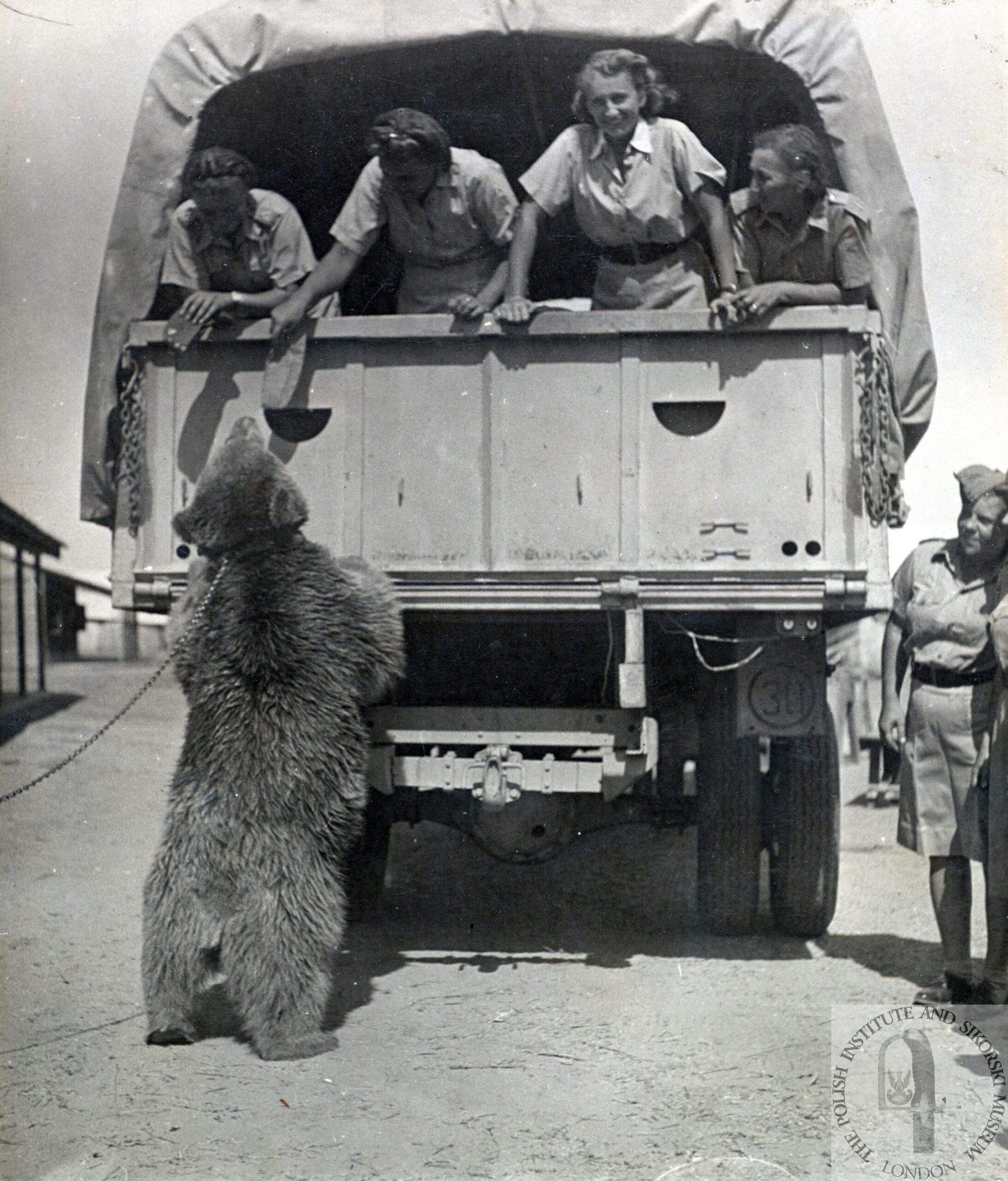 Wojtek the bear. Image courtesy of the Polish Institute and Sikorski Museum.