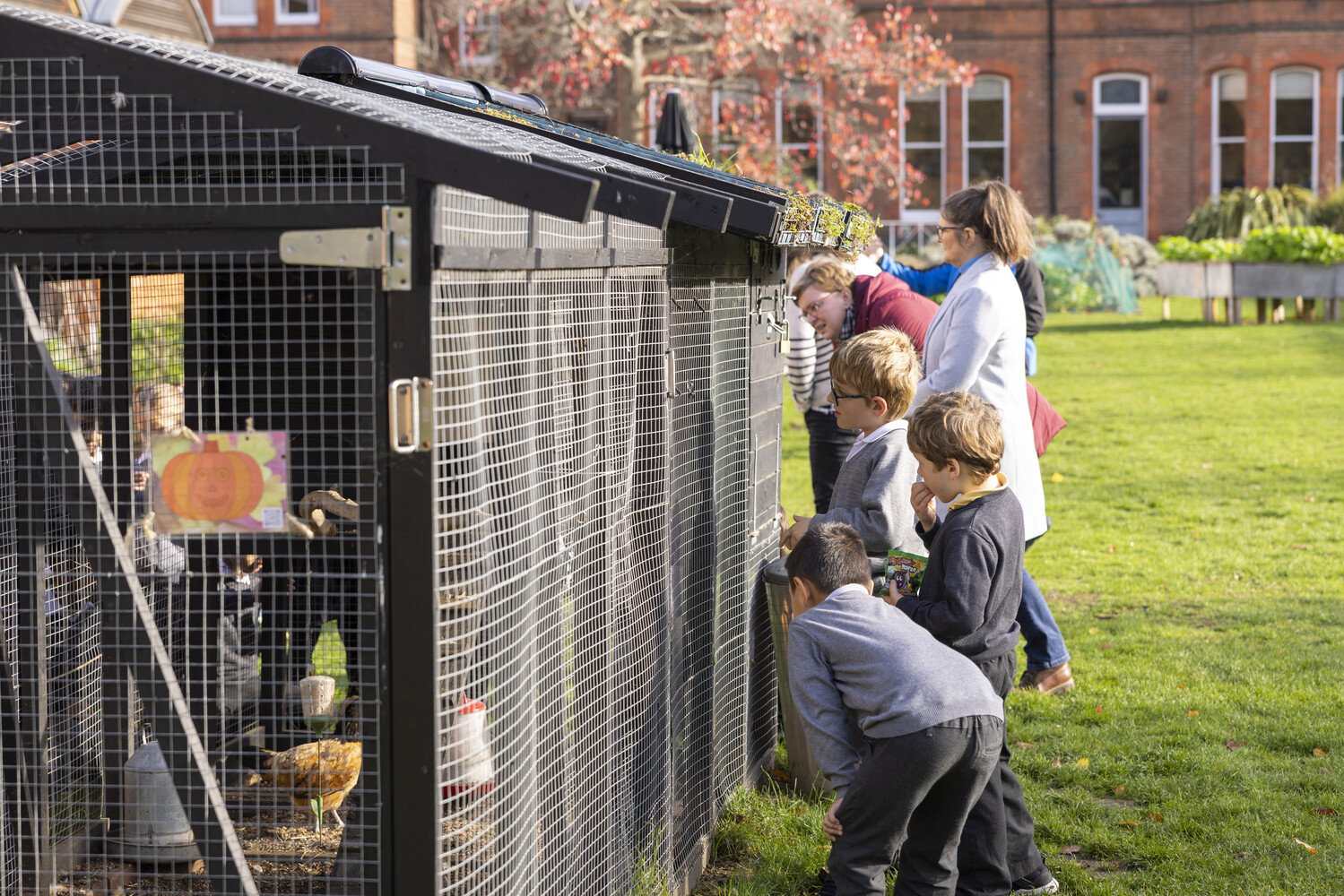 A group of school pupils explore The MERL garden